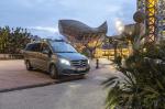 Mercedes-Benz V300 d Avantgarde 2019 года (WW)